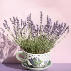 Blumentopf Pflanztasse "Lavendel" aus Keramik klein
