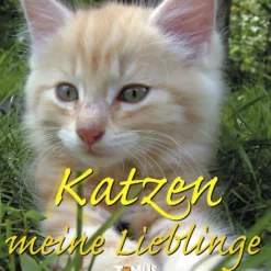 Buch "Katzen meine Lieblinge"